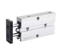 TN10/16 Stroke 10/15/20/25/30/35/40-100mm Twin-Rod Air Cylinder Actuators Double Acting Guided Pistons Cylinders Parts 1Pcs(Stroke 30mm,TN16 (Bore 16mm))