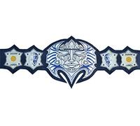 TNA Immortal Jeff Hardy Champion Title Belt Plates Leather Adult Size (Replica), Black, Large