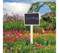 Tnfeeon 10PCs Mini Blackboard Plans Signs for Garden Price, Suitable for Garden and Flower Shops, Made of Wood, Portable and Light Weight