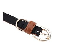 Tnfeeon Adjustable Pet Collar PU Leather Daisy Flower Bow Tie Bling for Small and Medium Dogs Cats (1.3 * 34cm)