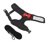 Tnfeeon Chicken Harness, Adjustable & Breathable Mesh for Safe Outdoor Walking with Pet Chickens, Durable and Lightweight for Parks, Gardens, and Training Sessions (Black)