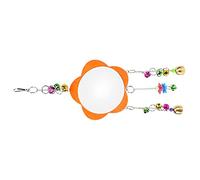 Tnfeeon Chicken Mirror Toys, Wooden Bird Cage Accessories, Swing Mirror with Bells for Chickens and Parrots
