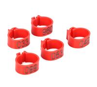Tnfeeon Colorful 100pcs Pigeons Leg Strips, Poultry Leg Rings Easy to for Parrots, Practical Foot Ring for Most Adult Birds, Beautiful Manufacturing (10mm red with Letter Ring)