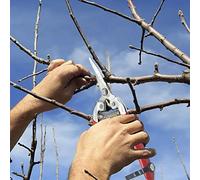 Tnfeeon Garden Shears for Gardeners Home Landscaping Tree Trimming Branch Cutting Fruit Harvesting Hand Pruner