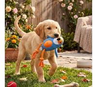 Tnfeeon Squeaky Dog Toy, 32x20cm Crinkle Plush (#1)