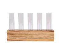 Tnfeeon Terrariums Test Tube Vase Desktop Hydroponic Cuttings Rooting Holder for Indoor Plants Windowsill Plant Propagation Station Wooden Base Glass Desktop Hydroponic Cuttings Rooting (with Brush)