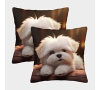 TNFHSOFT Maltese Dog Cushion Cover Set of 2 Decorative Machine Washable Pillowcases Square Pillow Cases with Invisible Zipper Cushion Covers for Living Room Sofa Couch Bed Throw Pillow Case 45x45cm