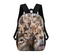 TNFHSOFT Squirrel Backpack School Bags for Girls Boys Backpack with Bag Fashion School Bag Children's Backpack 17 Inches