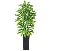 TNGGNT Artificial Dracaena Tree 7FT, Tall Fake Plant Indoor for Home Office | Artificial Plants Indoor, Fake Plants Tall Design, Tropical Leaves | Fake Plant for Offices, Living Rooms, Modern Decor