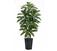 TNGGNT Artificial Plants Dracaena Tree 5FT, Large Artificial Plants Indoor with Black Tall Planter, Tall Fake Floor Plant in Pot Indoor Decor, Fake Dracaena Tree for Home Living Room Office Decor