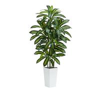 TNGGNT Artificial Plants Dracaena Tree 5FT, Large Artificial Plants Indoor with White Tall Planter, Tall Fake Floor Plant in Pot Indoor Decor, Fake Dracaena Tree for Home Living Room Office Decor