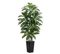 TNGGNT Artificial Plants Dracaena Tree 6FT, Large Artificial Plants Indoor with Black Tall Planter, Tall Fake Floor Plant in Pot Indoor Decor, Fake Dracaena Tree for Home Living Room Office Decor