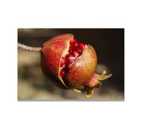 TNGHHSGA Accept Everything That Happens Fresh Fruit & Real-Shot Scenery Canvas Print - Vibrant Wall Art for Kitchen & Living Room Decor 70x105cm Unframed