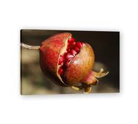 TNGHHSGA Accept Everything That Happens Fresh Fruit & Real-Shot Scenery Canvas Print - Vibrant Wall Art for Kitchen & Living Room Decor 50x75cm Framed