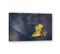 TNGHHSGA Floating On The WaterSunlit Meadow Bloom Canvas Print - Vibrant Nature Art for Cheerful Home Walls60x90cm Framed