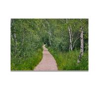 TNGHHSGA Leading Deep Into The JungleCalm Coastal Tide Canvas Art - Soothing Ocean View Print for Relaxing Spaces80x120cm Unframed