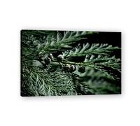 TNGHHSGA Pine Cone In The Middle Fresh Fruit & Real-Shot Scenery Canvas Print - Vibrant Wall Art for Kitchen & Living Room Decor 30x45cm Framed