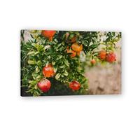 TNGHHSGA Pomegranate Is A Different Kind Of Red Seasonal Fruit & Real-Photographed Landscape Canvas Art - Fresh Decor for Living Room & Dining Area 30x45cm Framed