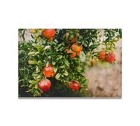 TNGHHSGA Pomegranate Is A Different Kind Of Red Seasonal Fruit & Real-Photographed Landscape Canvas Art - Fresh Decor for Living Room & Dining Area 20x30cm Unframed