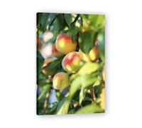 TNGHHSGA The Gift Of Sunshine Fresh Fruit & Real-Shot Scenery Canvas Print - Vibrant Wall Art for Kitchen & Living Room Decor 50x75cm Framed