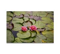 TNGHHSGA Two Lotus FlowersCalm Coastal Tide Canvas Art - Soothing Ocean View Print for Relaxing Spaces80x120cm Unframed