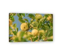 TNGHHSGA You'Ll Know After You Take It Off Fresh Fruit & Real-Shot Scenery Canvas Print - Vibrant Wall Art for Kitchen & Living Room Decor 20x30cm Framed