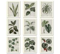 TNKBREEZE 9 Pcs Tropical Leaf Wall Art Newspaper Unframed Canvas Prints Poster Decor Artwork Aesthetic Paintings for Back to School Living Room Kitchen Bedroom Bathroom Florist 8x10In