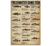 TNND Freshwater Game Fish Poster Some Of The Popular Fish For Kitchen Gift For Kid Art Wall Decor Metal Sign Poster 8x12 inches