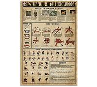 TNND History Of Brazilian Jiujitsu Poster For Bedroom Gift For Jiujitsu Lover Art Wall Decor Home Decor Father's Day Birthday Gift Metal Signs 12X16 inch