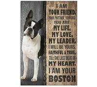 TNND I Am Your Boston Terrier Funny Dog Word For Bedroom Gift For Dog Lover Metal Sign Art Tin Metal Poster Gift 8x12 inch