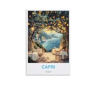 TNODZ Paint by Number Kits for Adults Beginners,Capri Italy Beginner, DIY Canvas Painting Gift Kits for Home Decoration 50x60cm