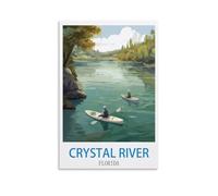 TNODZ Paint by Numbers for Adults,Crystal River Florida Painting Acrylic Paint by Numbers for Adults Beginner Painting Kit 30x40cm