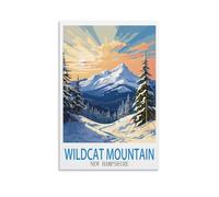 TNODZ Paint by Numbers Kits for Adults Beginners,Wildcat Mountain New Hampshires Ski Painting by Numbers for Adults for Home Wall Decor 40x50cm