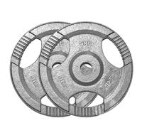 TNP Accessories 2-Inch Olympic Cast Iron Weight Plates (Set of 2) | Heavy-Duty Silver Tri-Grip for Barbells & Dumbbells | Home & Commercial Gym Strength Training (2 x 5kg)