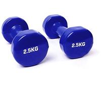 TNP Accessories Cast Iron Vinyl Lifting Dumbbell Training Set of Hand Weights Home Gym Exercise Pilates for Men or Women (Blue, 2.5Kg (Pair)