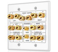 TNP High-Quality Speaker and Subwoofer Wall Plate - 7.2 Surround Sound, Wall Speaker Connection Audio Wall Plate for AV RCA Connectors and Home Theater Banana Plugs
