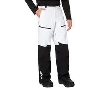 Oakley Apparel Tnp Lined Shell 2.0 Pants White,Black L Men
