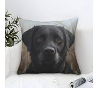TNSGHAVED 3D Printed Labrador Retriever Square Pillowcases Throw Pillow Case Decorative Super Soft Pack of 1 for Sofa Couch Bed 45x45cm