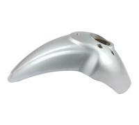 Front Fender Silver Grey Liberty RST 50 125 150 200 2007 2008