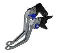 TNTGEBFVBG Double Disc Folding Clutch Lever for Suzuki Bandit 650S for GSF650/1200/1250 Bandit Short Motorcycle 7/8" 22mm Brake Clutch Levers Motorbike Parts(W)