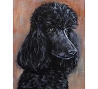 TNXEV 5D Diamond Painting Kits for Adults Cute Black Poodle Full Drill Round Diamond Art /30 * 40CM