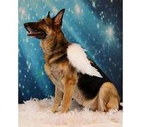 TNXEV 5D Diamond Painting Kits German Shepherd Dog DIY Full Drill Rhinestone Embroidery Pictures Diamond Art Kits for Adults Gift 50x50cm