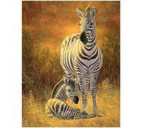 TNXEV 5D DIY Diamond Painting Zebra Full Drill,x CM Zebra Stickers Diamond Art Canvas Zebra Large Size Diamond Paintings Zebra Cross Stitch Diamond Painting Cute Animals Designs Adult 30 * 40CM