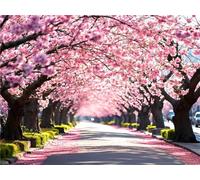 TNXEV Cherry Blossom Road Diamond Art Kits Adults, Diamond Painting Kit, Full Round Drill Diamond Dots Gem Art Rhinestone Crystal Picture, Diamond Art Kits Accessories for Home Decor 30 * 40CM