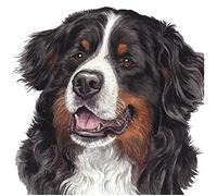 TNXEV Cross Stitch Kits for Adults,Bernese Mountain Dog,CT Count Pre Printed Stamped Cross Stitch Kit,Embroidery Crafts Kit for Beginners40*40cm