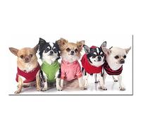 TNXEV DIY 5D Diamond Painting Kit,Cute Chihuahua Diamond Art Kits Full Drill Large by Numbers Embroidery Cross Stitch Crystal Rhinestone Crafts for Home Wall Decor Gifts Round Drill 30x40cm