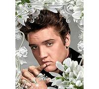 TNXEV DIY 5D Diamond Painting Kits Elvis Full Drill Crystal Embroidery Rhinestone Adults and Children Art Relaxation and Home Wall Decor Gift 40x40cm