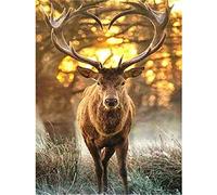 TNXEV DIY 5D Diamond Painting Kits for Adults Forest Deer Round Full Drill Embroidery NO.821 30x40cm