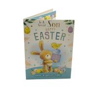 To A Special Son Rabbit With Gift And Eggs Design Easter Card