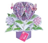 To A Wonderful Nan Hydrangea Pop Up Card Mother's Day, Birthday, Any Occasion POP024M11
